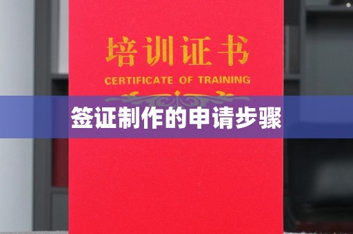 息县签证制作的申请步骤