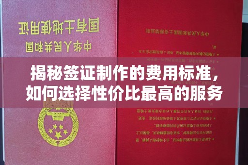 息县揭秘签证制作的费用标准，如何选择性价比最高的服务？