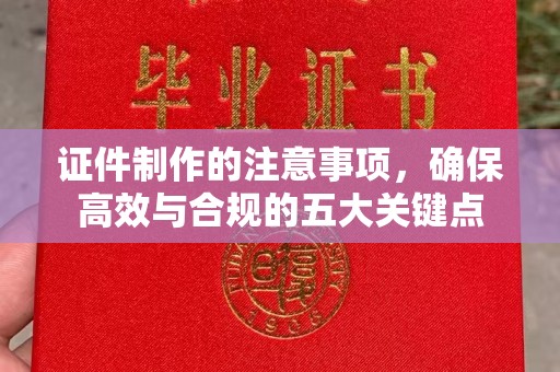 息县证件制作的注意事项，确保高效与合规的五大关键点