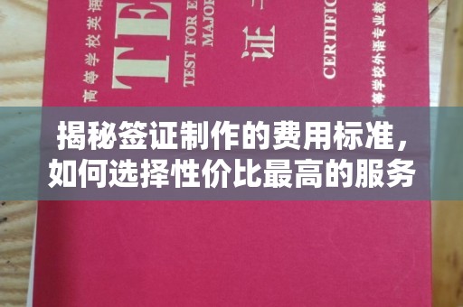 息县揭秘签证制作的费用标准，如何选择性价比最高的服务？
