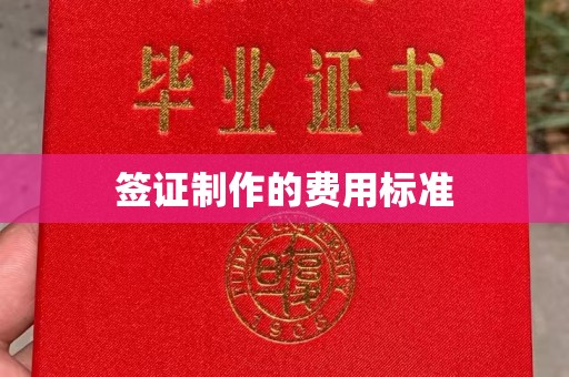 息县签证制作的费用标准