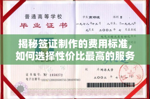 息县揭秘签证制作的费用标准，如何选择性价比最高的服务？